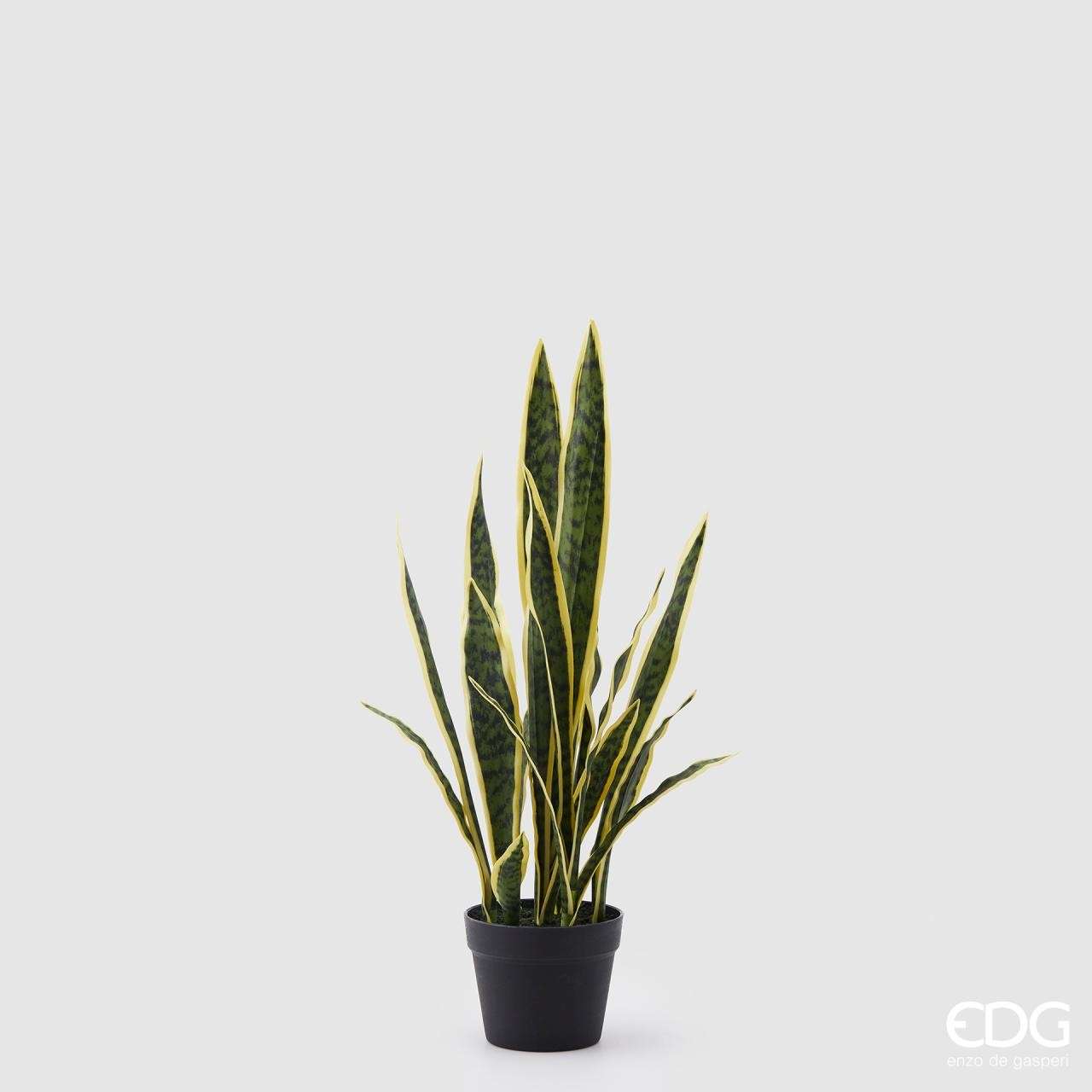Immagine principale di Sanseveria Piccola West Artificiale con Vaso h 70 cm | EDG Enzo De Gasperi