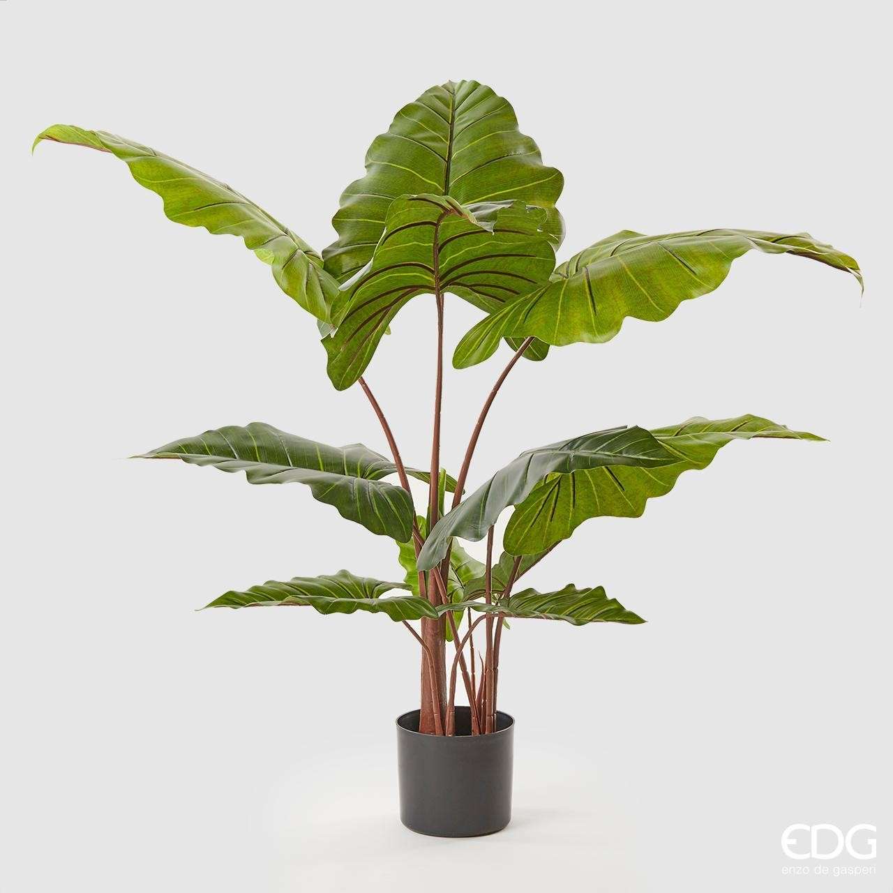 Immagine principale di Alocasia Chic Artificiale con vaso h 120 cm | EDG Enzo De Gasperi
