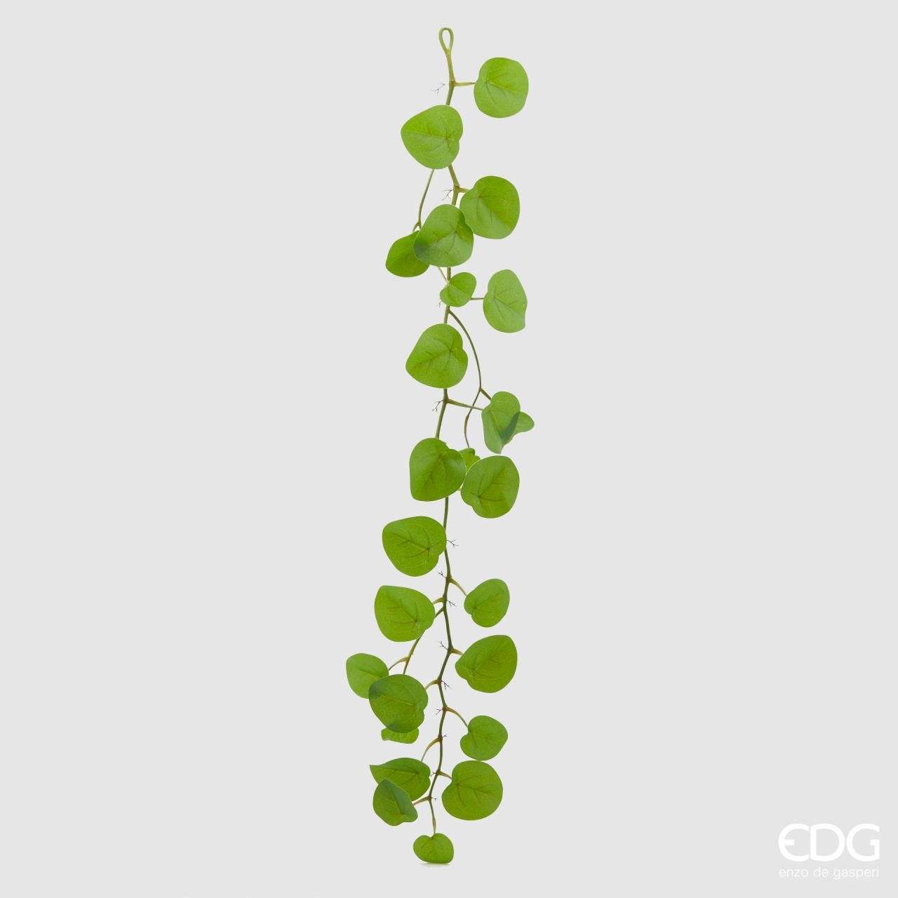 Immagine principale di Pilea Peperomioides Cadente Artificiale h 115 cm | EDG Enzo De Gasperi