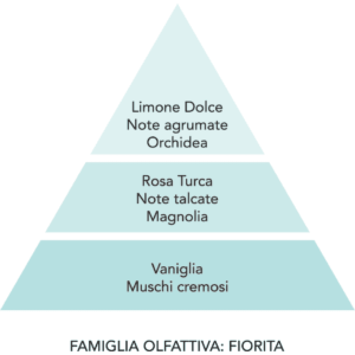 Immagine del prodotto Profumatore per Bucato Tenerezze Baby - 3 Formati | Mami Milano