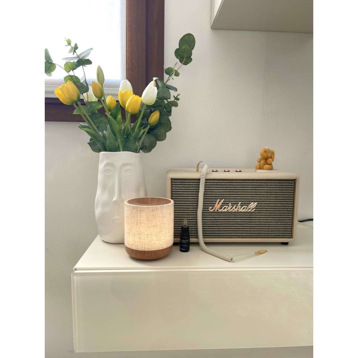 Immagine del prodotto Diffusore ad Ultrasuoni per Oli Essenziali | EDG Enzo De Gasperi