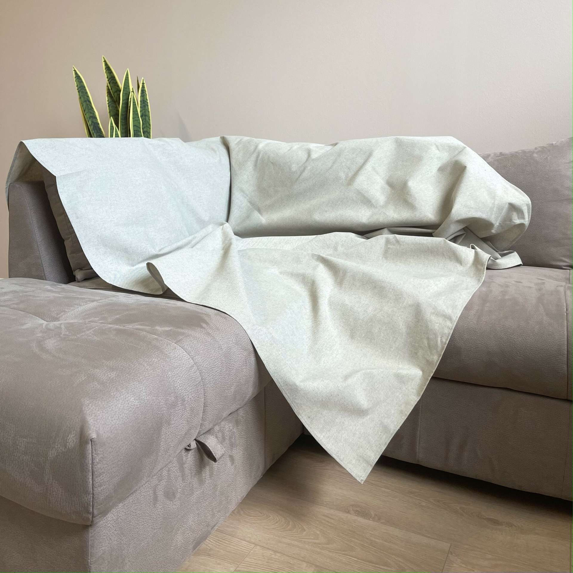 Immagine principale di Copridivano - Copritutto Tinta Unita Easy Grigio in cotone (2 misure) | Pietro Zanetti Home