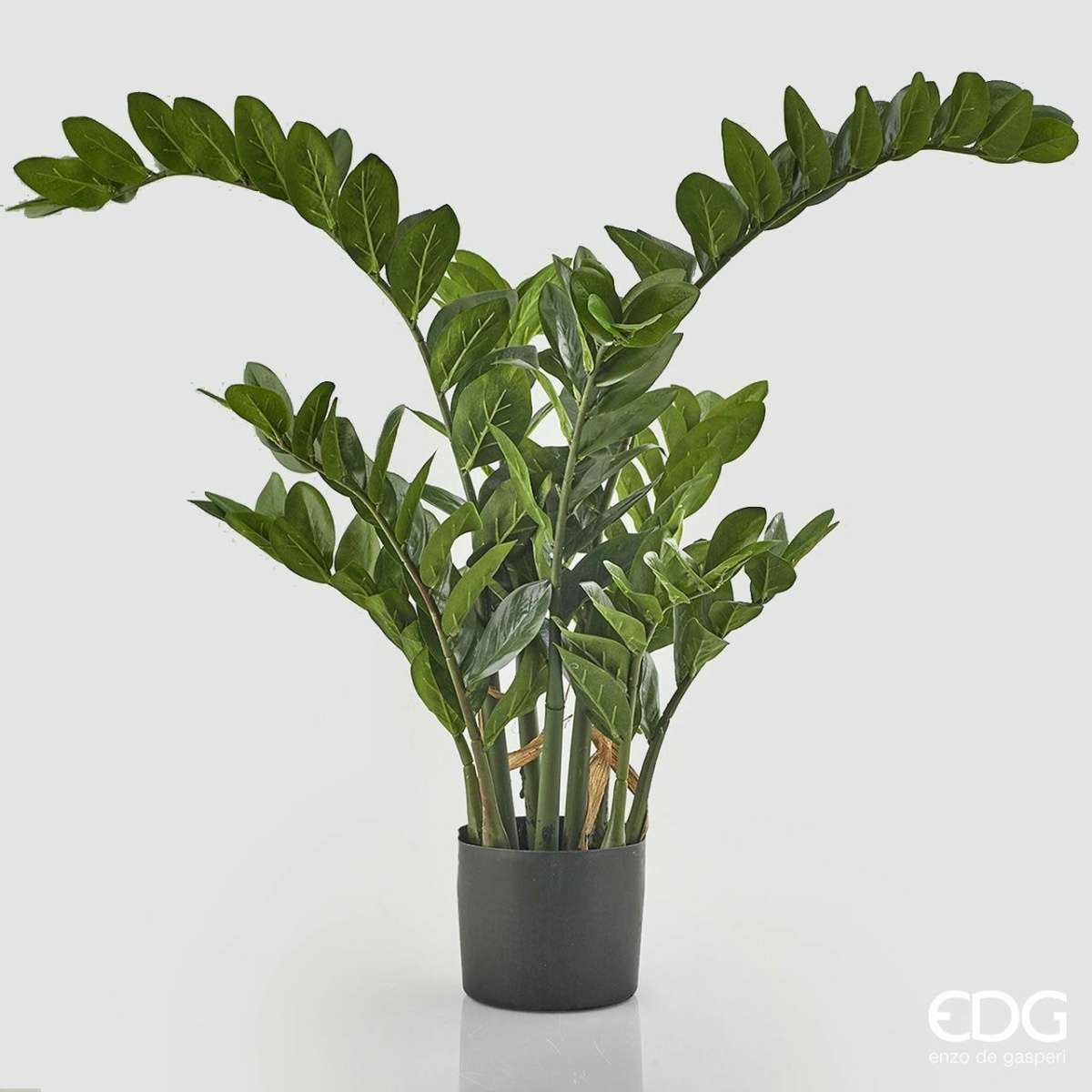 Immagine del prodotto Zamifolia Artificiale con Vaso h 130 cm | EDG Enzo De Gasperi