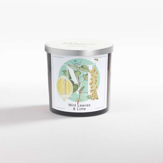 Immagine principale di Candela M - Mint Leaves & Lime | Pernici 1892