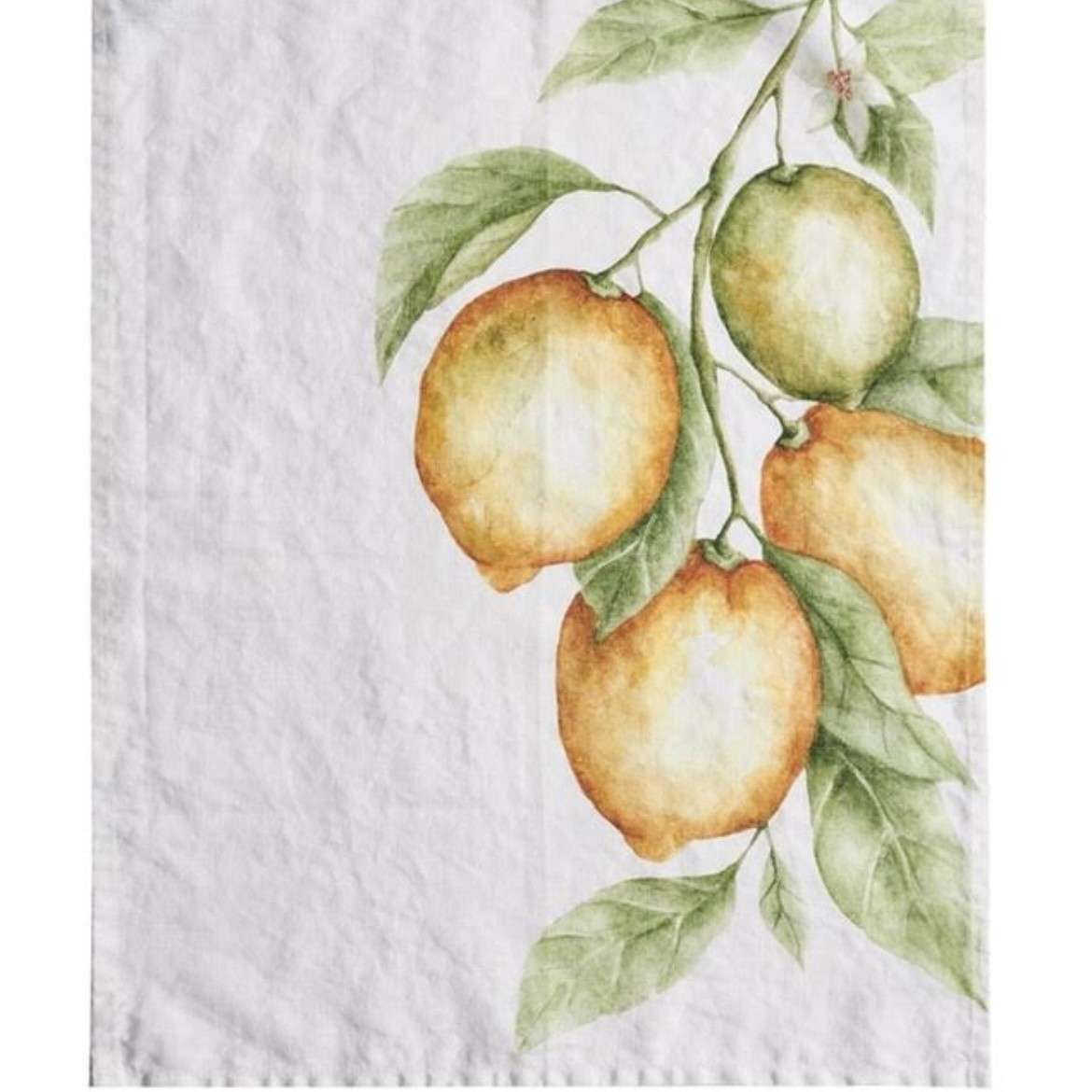 Immagine principale di Strofinaccio in Lino Limoni No Stiro | Simple Day