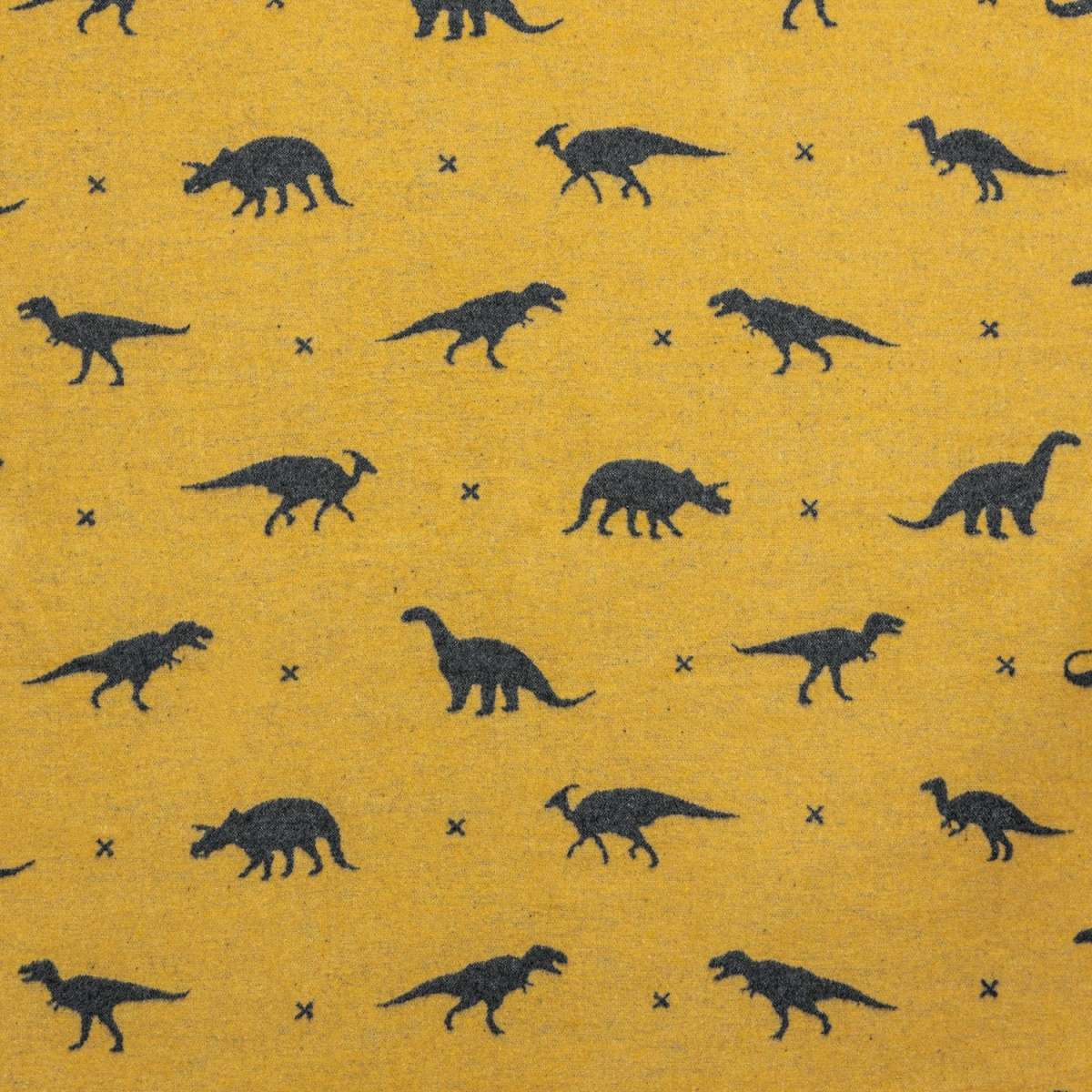 Immagine del prodotto Plaid Invernale Dinosauri in Cotone Double Face 140x200 cm | David Fussenegger