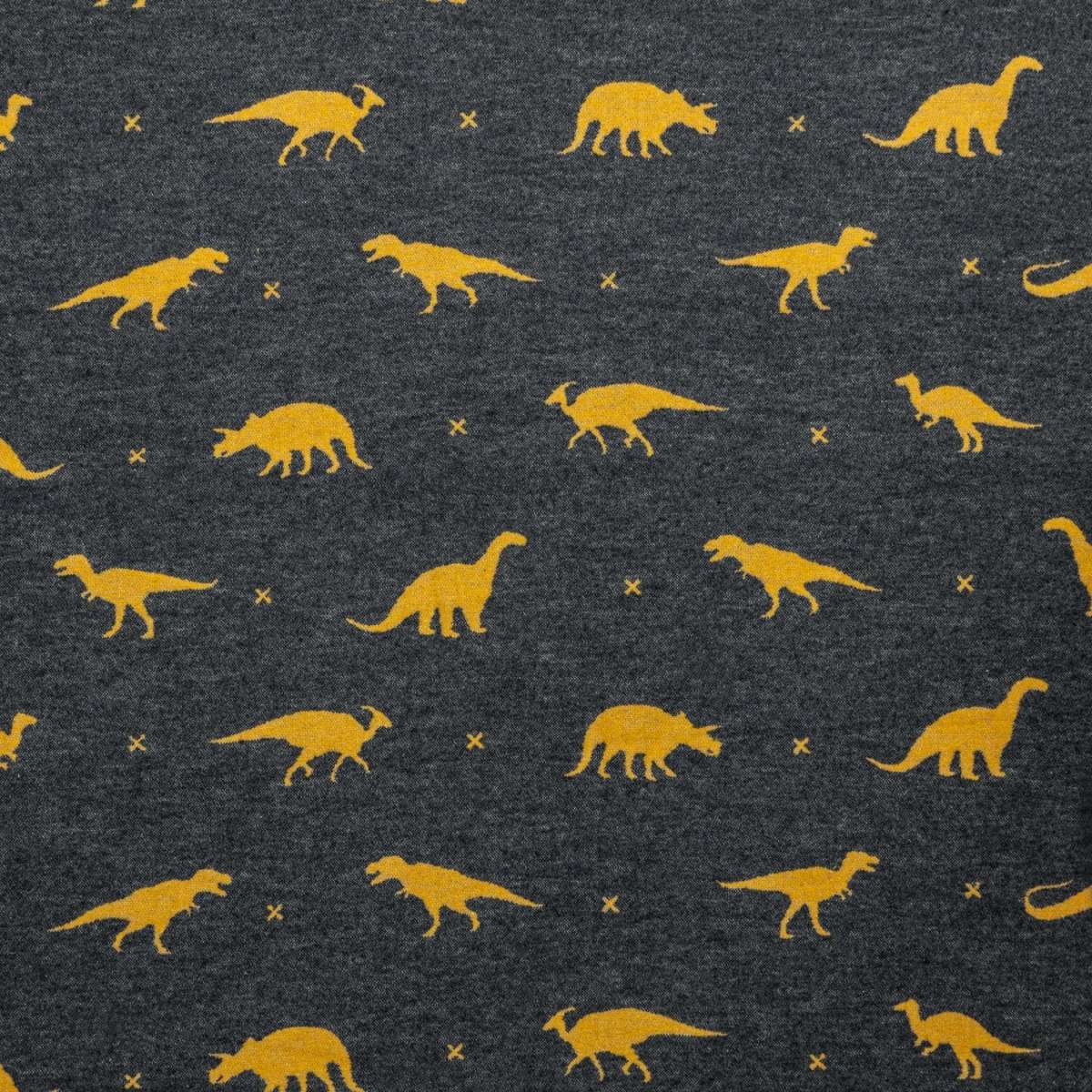 Immagine del prodotto Plaid Invernale Dinosauri in Cotone Double Face 140x200 cm | David Fussenegger