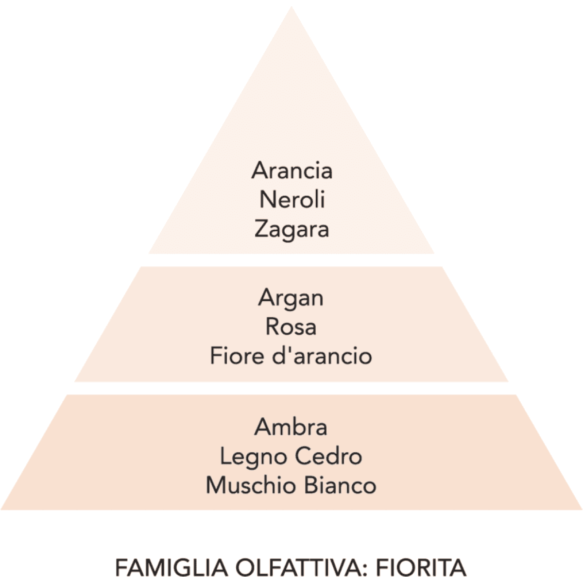 Immagine del prodotto Profumatore per Bucato Argan - 3 Formati | Mami Milano