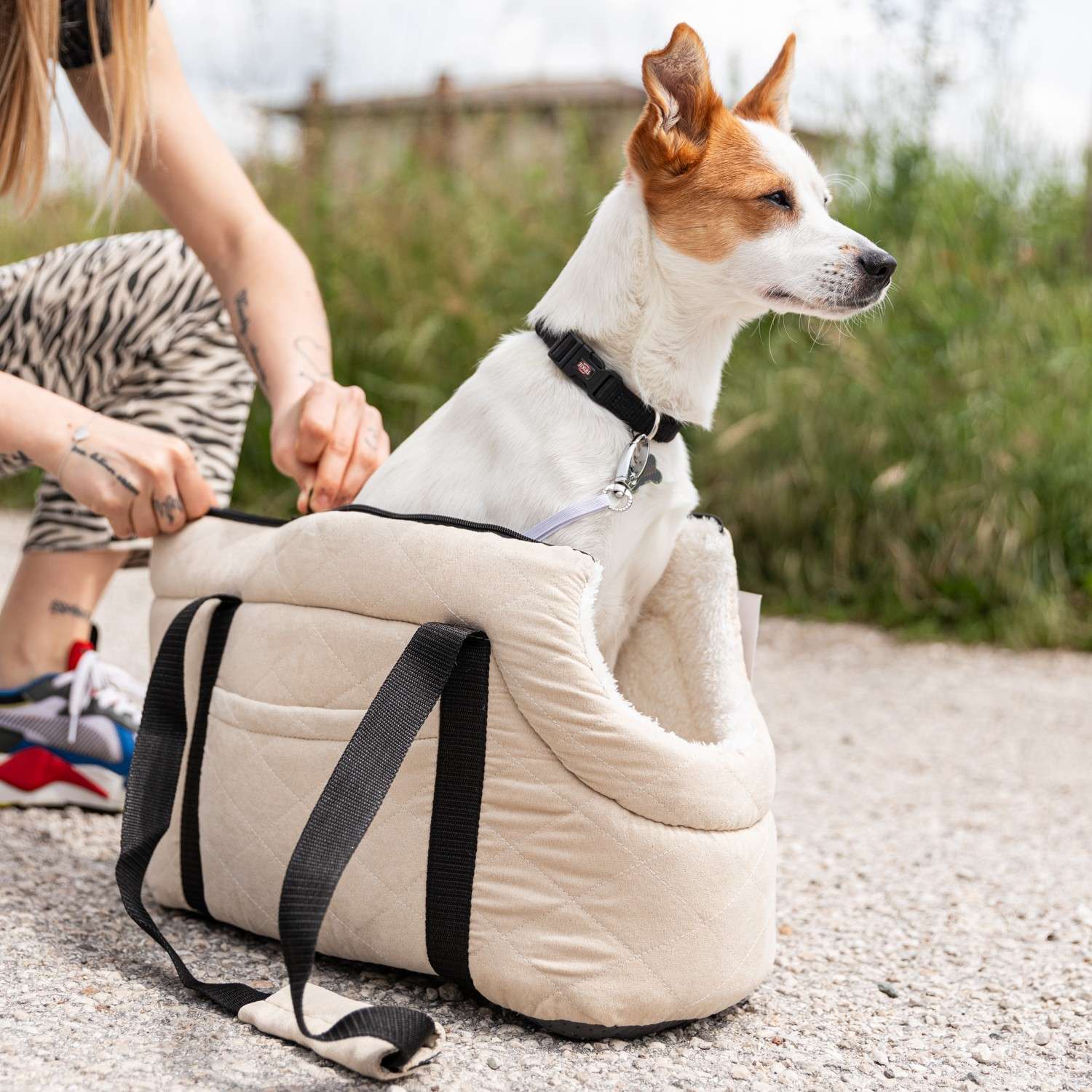 Immagine principale di Borsa da Spalla Piccola per Cane | Pietro Zanetti Home
