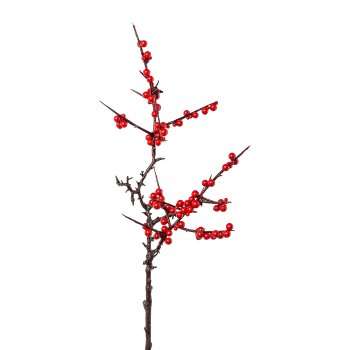 Immagine principale di Ramo di Agrifoglio 53 cm Rosso | Gasper since 1965