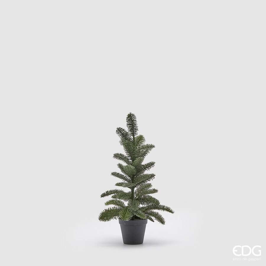 Immagine principale di Pino Nobilis West con Vaso in pvc h 56 cm | EDG Enzo De Gasperi
