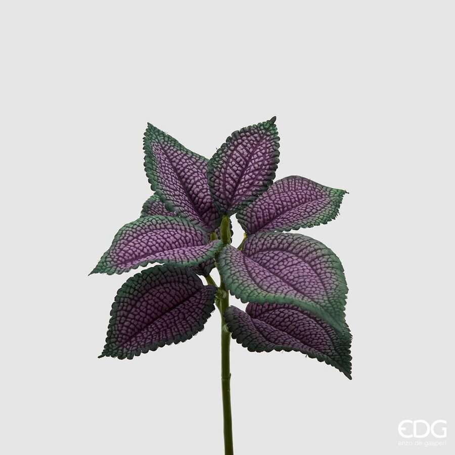 Immagine principale di Coleus Bell Pick  8 foglie h 24 cm (2 Colori) | EDG Enzo De Gasperi