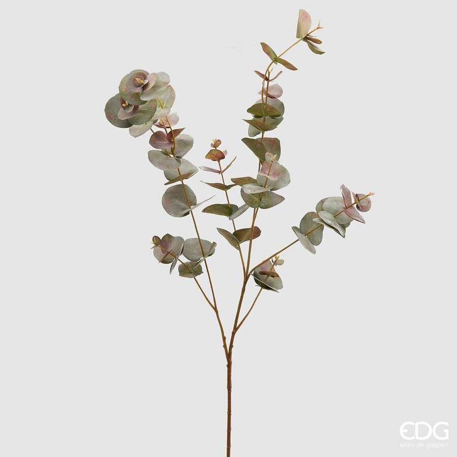 Immagine principale di Ramo di Eucalipto Bell Mix h 100 cm | EDG Enzo De Gasperi
