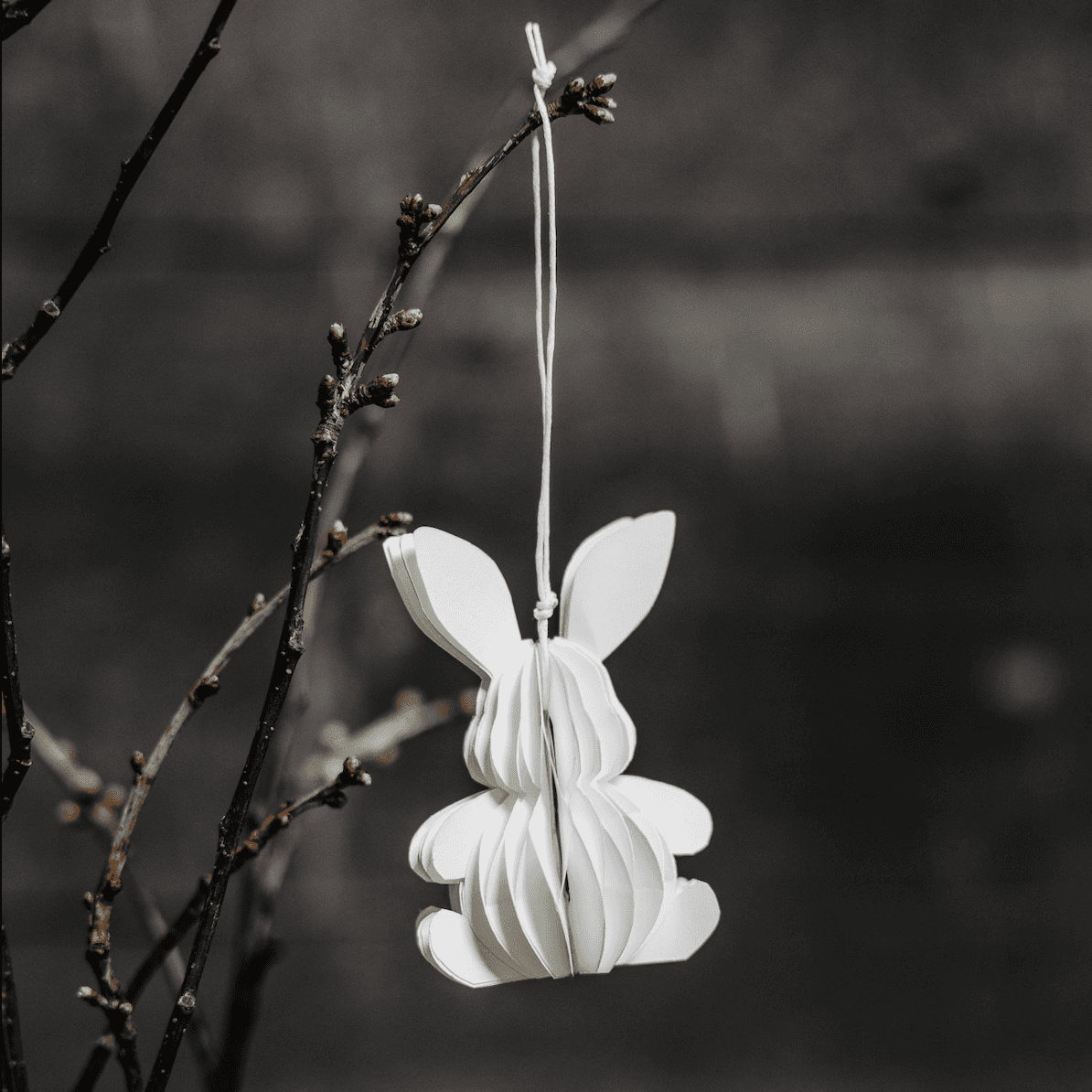 Immagine principale di Decorazione di Carta Origami Coniglio Nils - 3 Colori | Storefactory