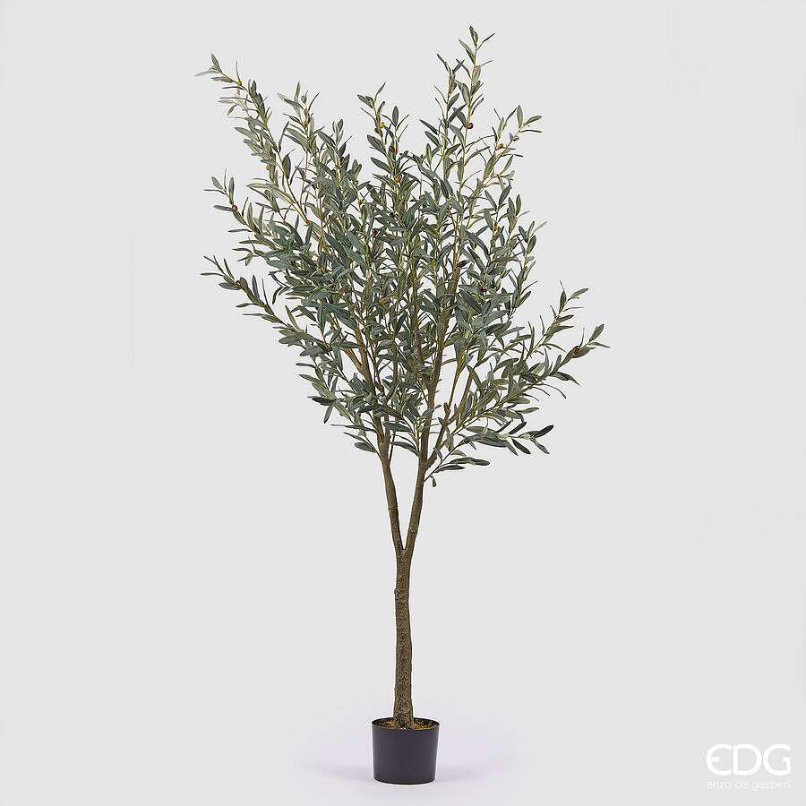 Immagine principale di Olivo Artificiale con vaso - 2 Misure | EDG Enzo De Gasperi