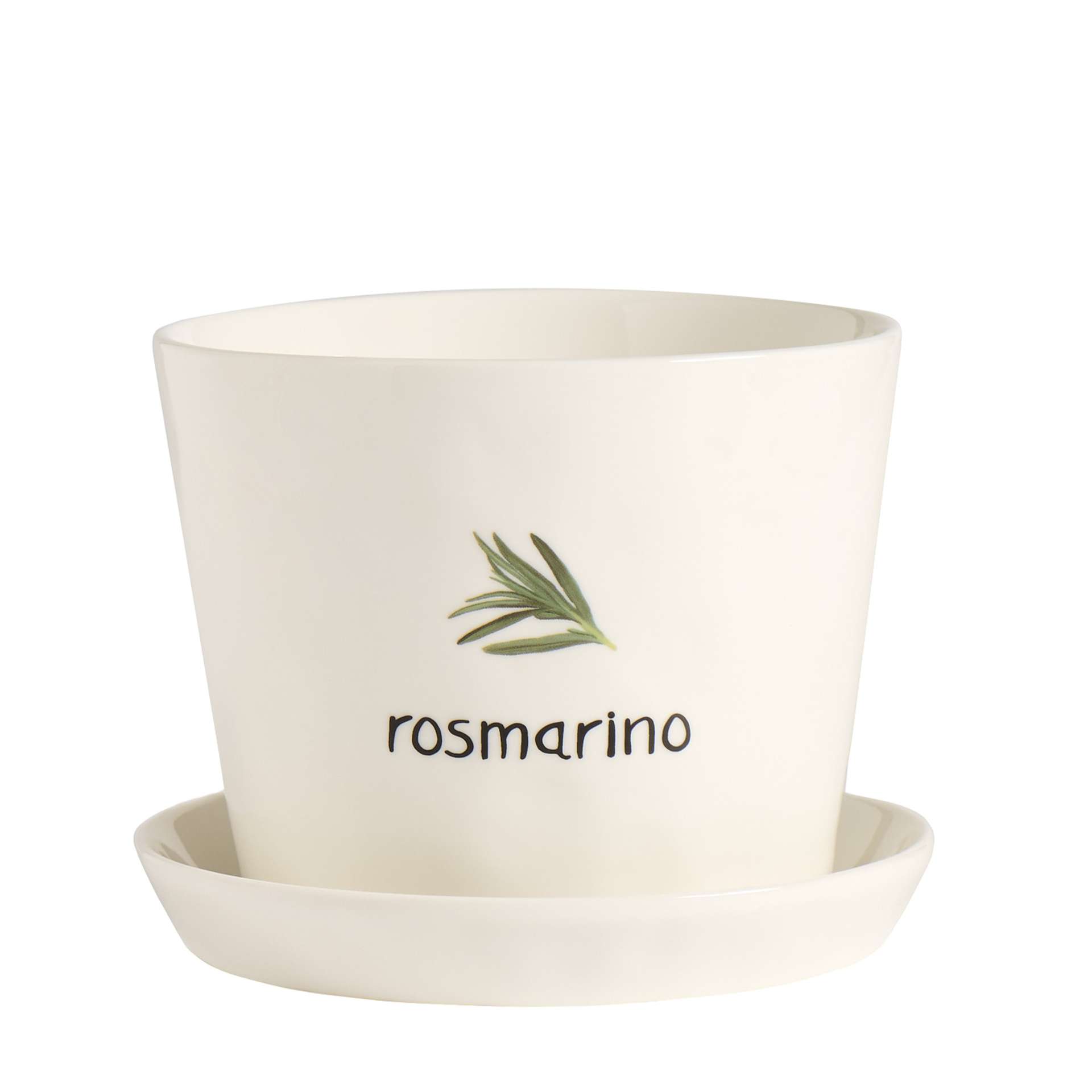 Immagine principale di Vaso Rosmarino con Sottovaso | Simple Day