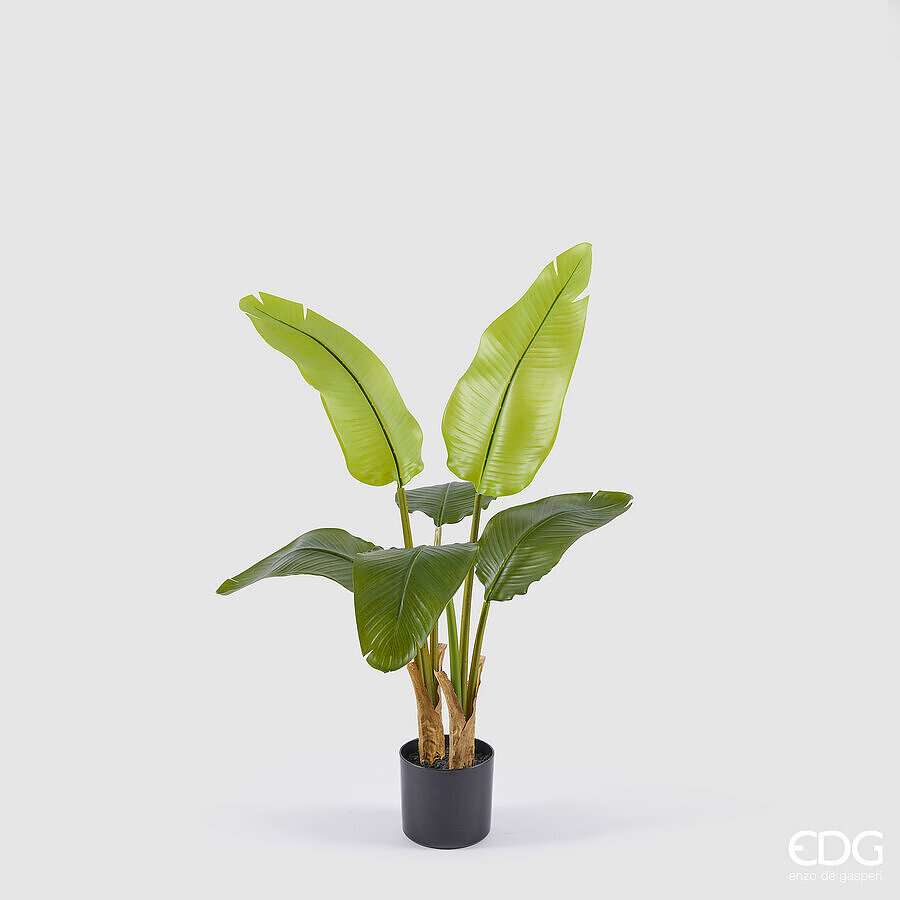 Immagine principale di Banano Artificiale con Vaso - 2 Misure | EDG Enzo De Gasperi