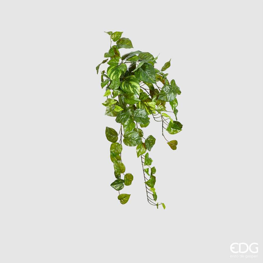 Immagine principale di Syngonium Bell Artificiale Cadente h 58cm | EDG Enzo De Gasperi