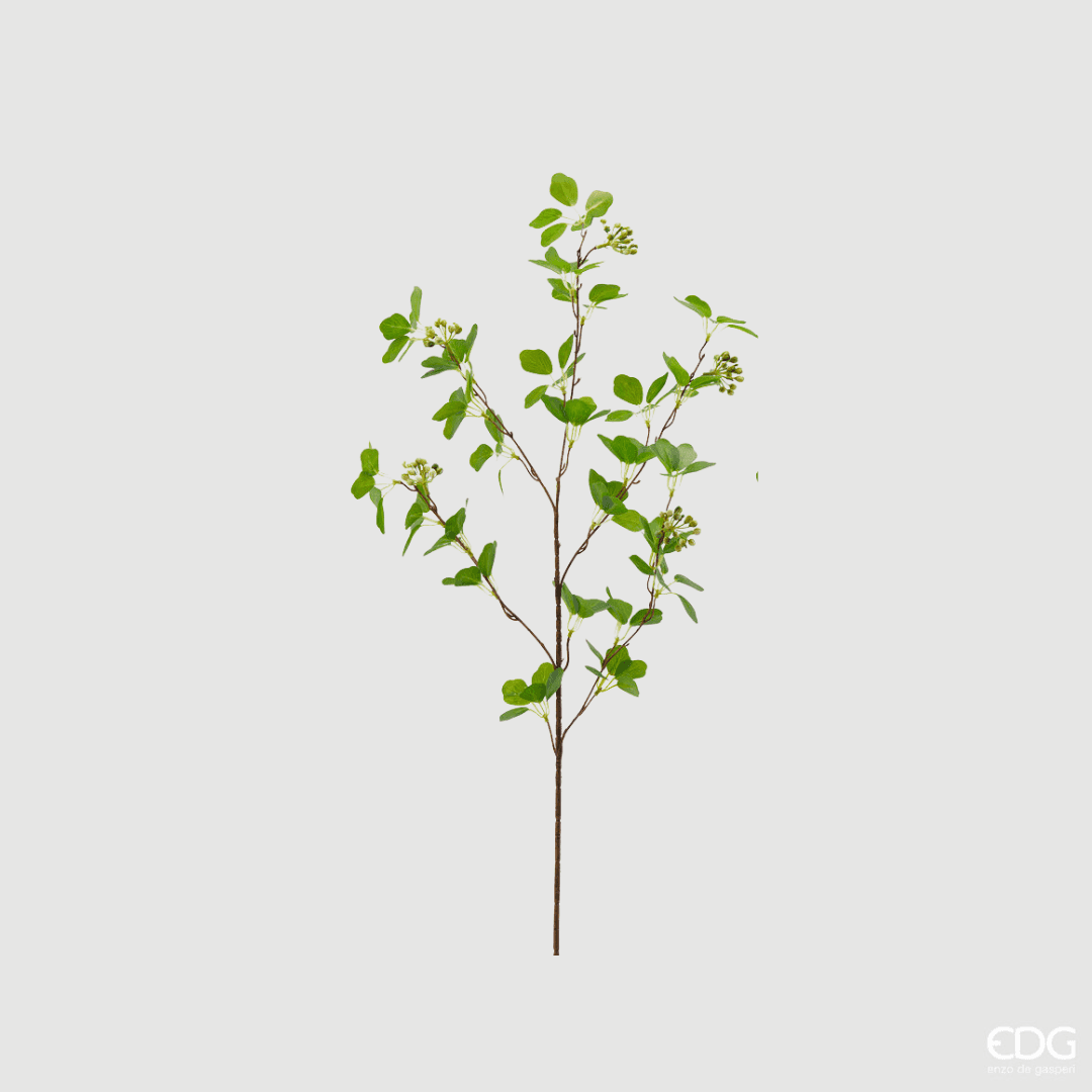 Immagine principale di Viburno Ramo Bacche h 90cm | EDG Enzo De Gasperi