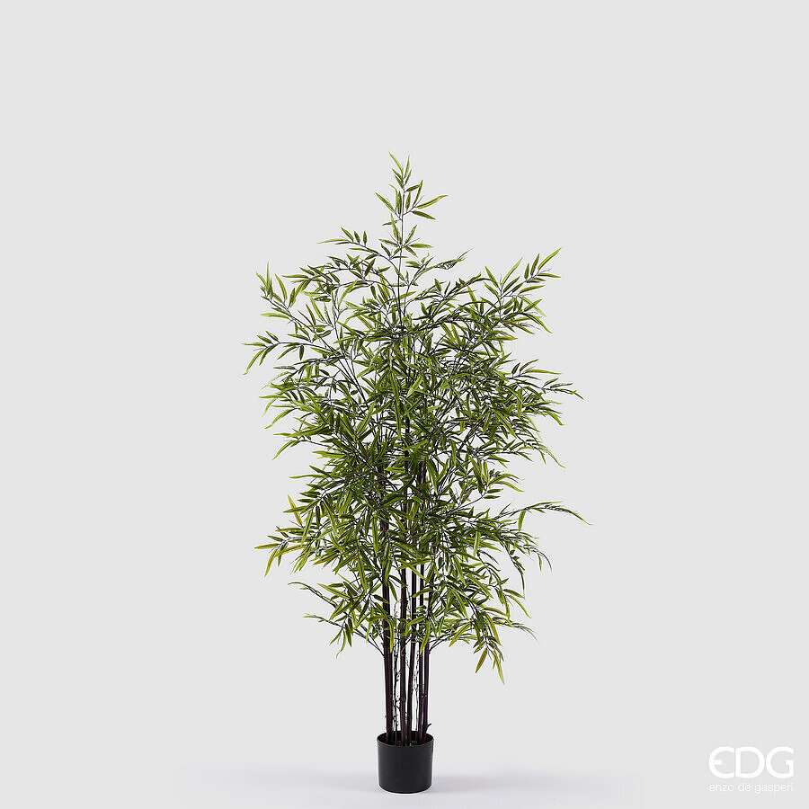 Immagine principale di Bamboo con Vaso h 150 cm | EDG Enzo De Gasperi
