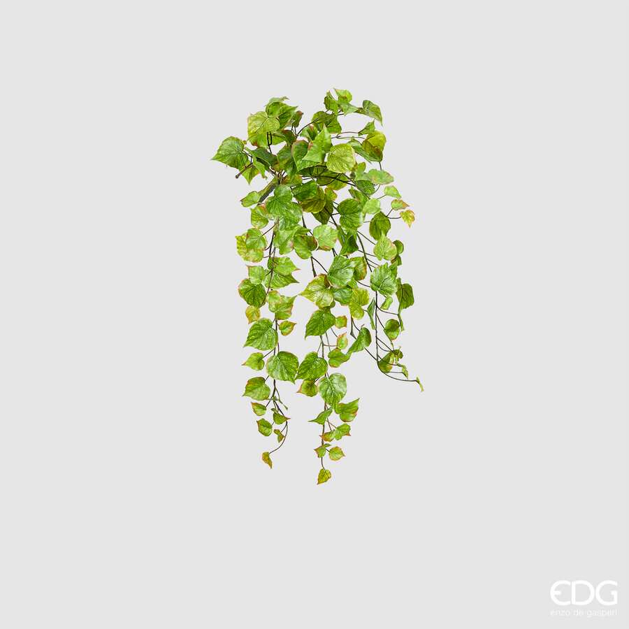 Immagine principale di Edera Bell Artificiale Cadente h 71cm | EDG Enzo De Gasperi