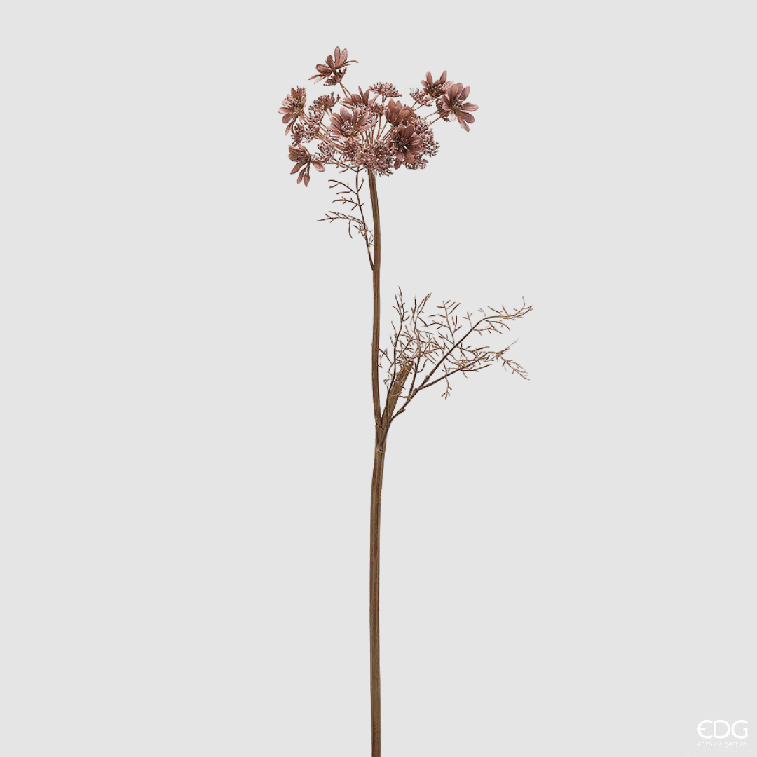 Immagine principale di Ramo Daucus Carota 82 cm - 2 Colori | EDG Enzo De Gasperi