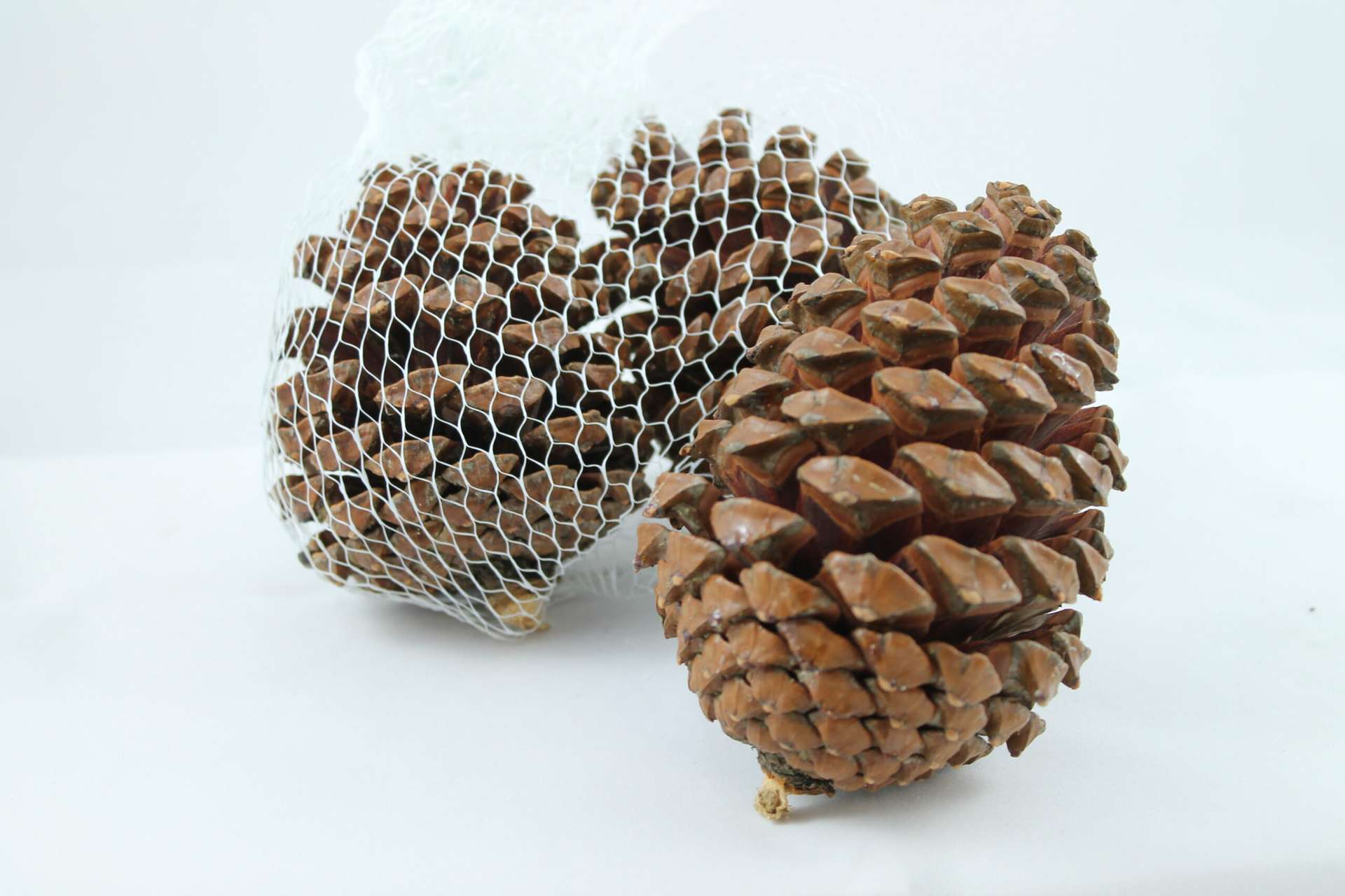 Immagine principale di Confezione di 3 Pigne decorative | Concord Home & Interior