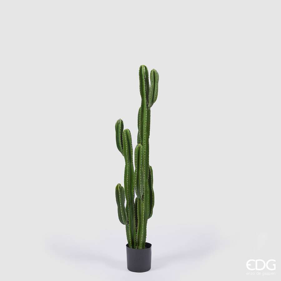 Immagine principale di Cactus Columnaris Artificiale con Vaso h 155cm | EDG Enzo De Gasperi