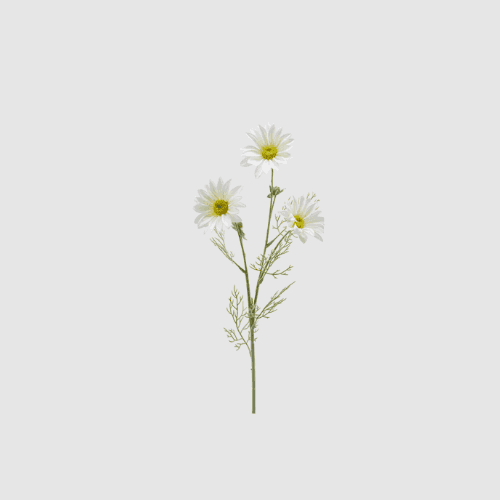 Immagine principale di Ramo Margherita Artificiale h 65 cm - 4 Colori | EDG Enzo De Gasperi