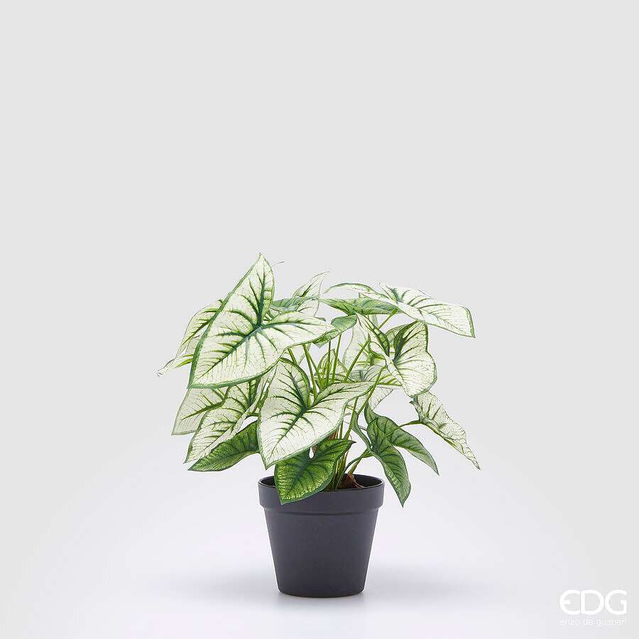 Immagine principale di Syngonium Variegato Artificiale con Vaso h 33 cm | EDG Enzo De Gasperi