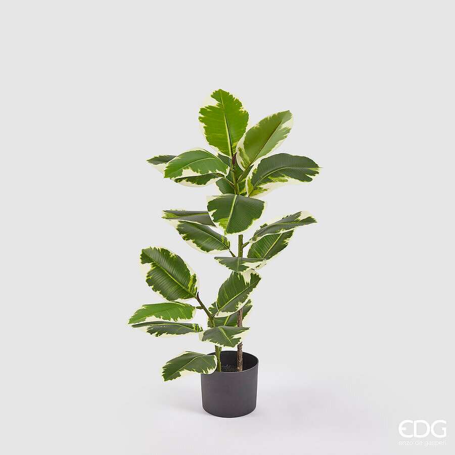 Immagine principale di Ficus Elastica Artificiale con Vaso - 2 Misure | EDG Enzo De Gasperi