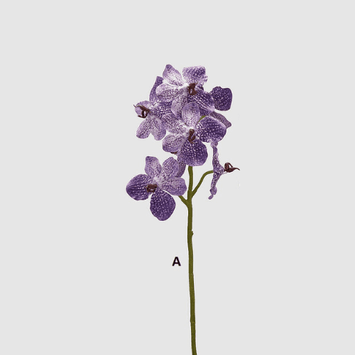 Immagine principale di Ramo Orchidea Vanda artificiale h 70 cm- 3 Colori | EDG Enzo De Gasperi
