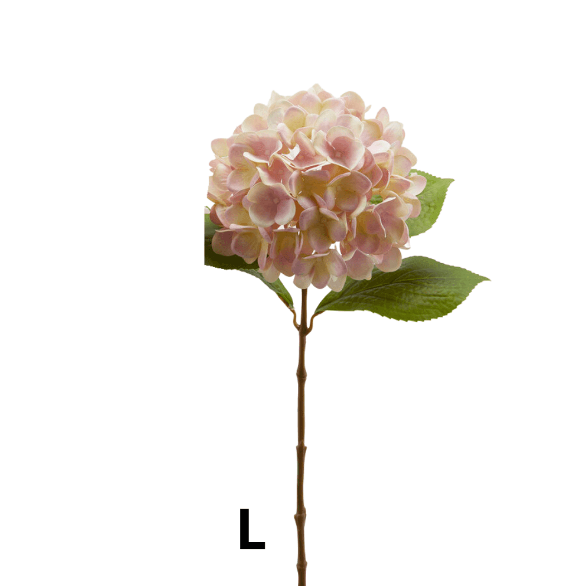 Immagine variante L - Ortensia Artificiale Nobile h 60 cm - 10 Colori | EDG Enzo De Gasperi