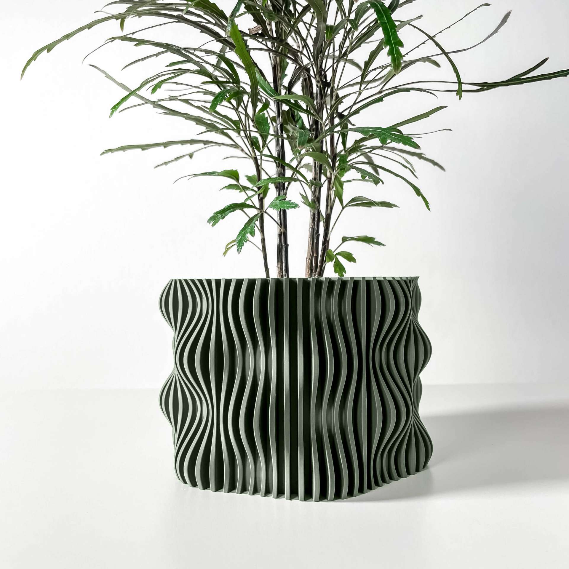 Immagine principale di Vaso Muxel Verde - 3 Misure | Mugalab