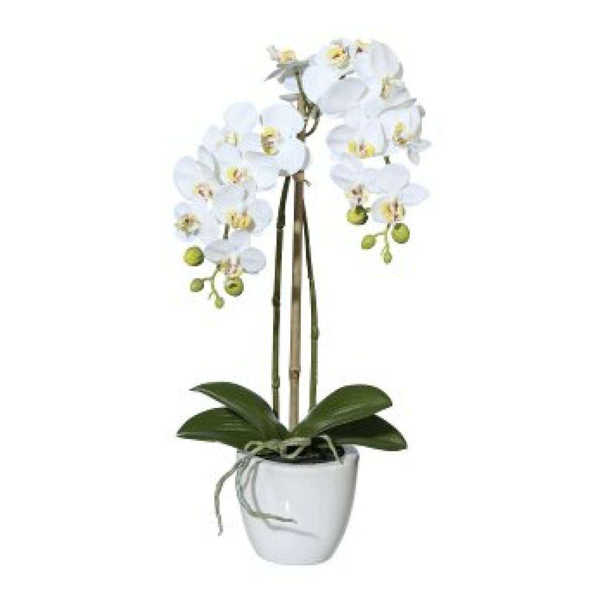 Immagine del prodotto Orchidea Phalaenopsis Bianca 43cm Real Touch, in Vaso Rotondo di Ceramica 9,5x9c | Gasper since 1965