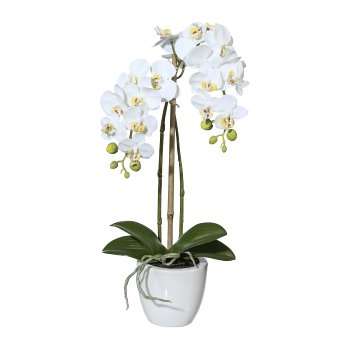 Immagine principale di Orchidea Phalaenopsis Bianca 43cm Real Touch, in Vaso Rotondo di Ceramica 9,5x9c | Gasper since 1965