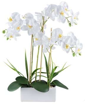 Immagine principale di Orchidea Phalaenopsis Bianca 58cm Real Touch, in Vaso Rettangolare di Ceramica B | Gasper since 1965