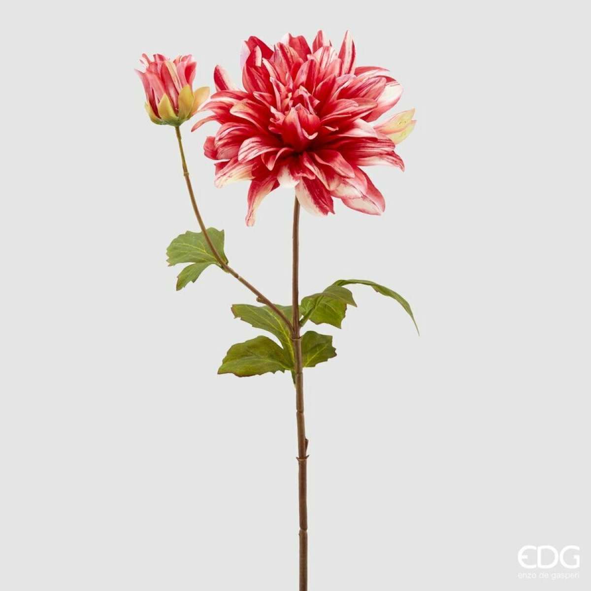 Immagine variante A - Dalia Rex New h 70cm - 3 Colori | EDG Enzo De Gasperi