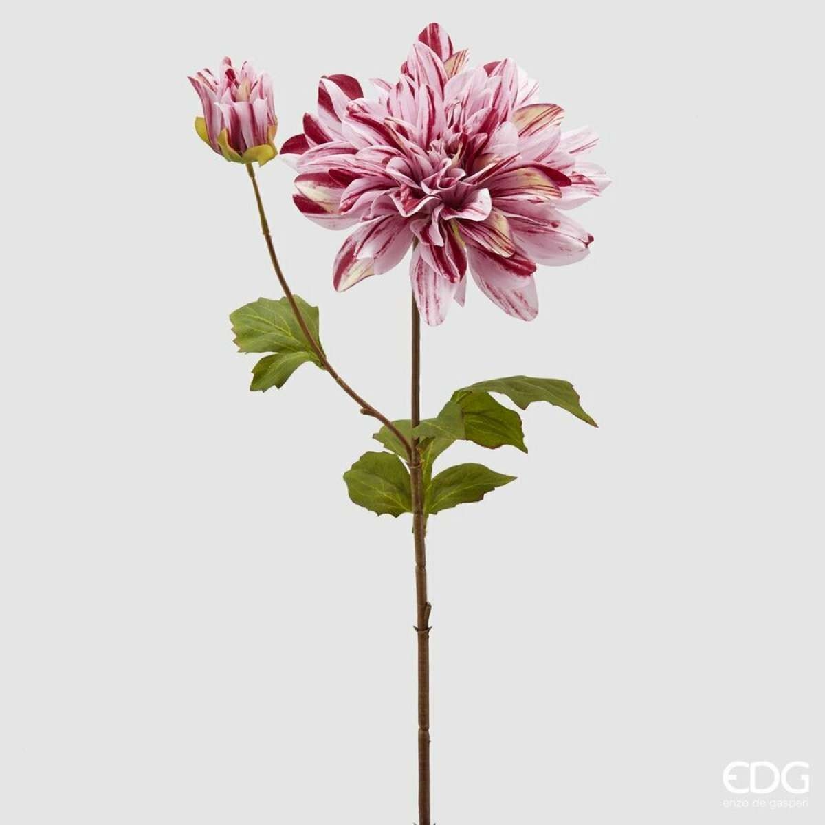 Immagine variante C - Dalia Rex New h 70cm - 3 Colori | EDG Enzo De Gasperi