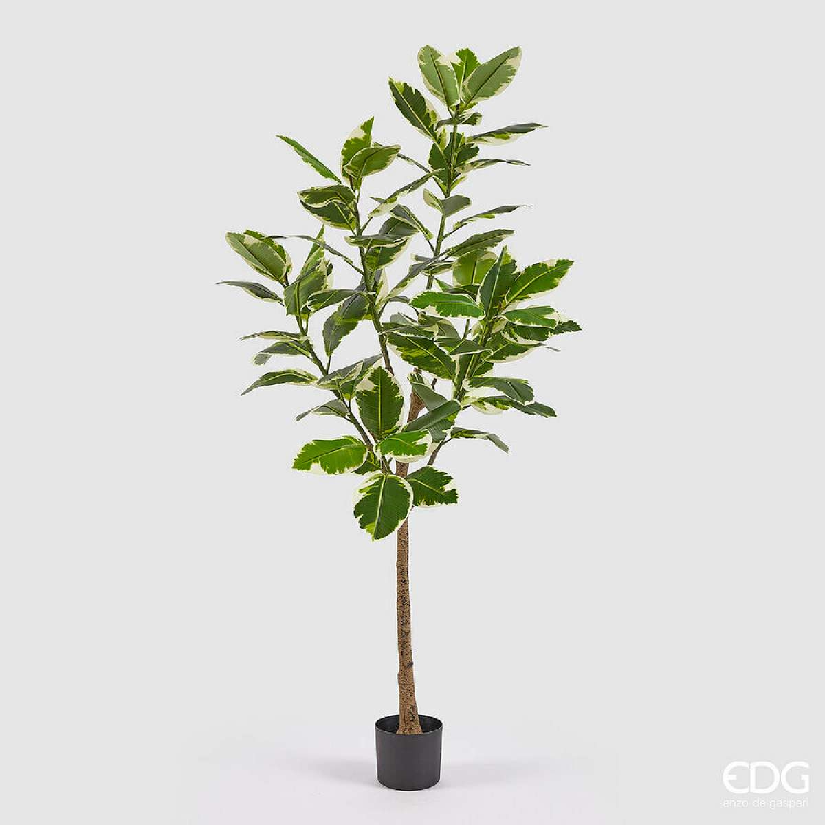 Immagine variante M - Ficus Elastica Artificiale con Vaso - 2 Misure | EDG Enzo De Gasperi