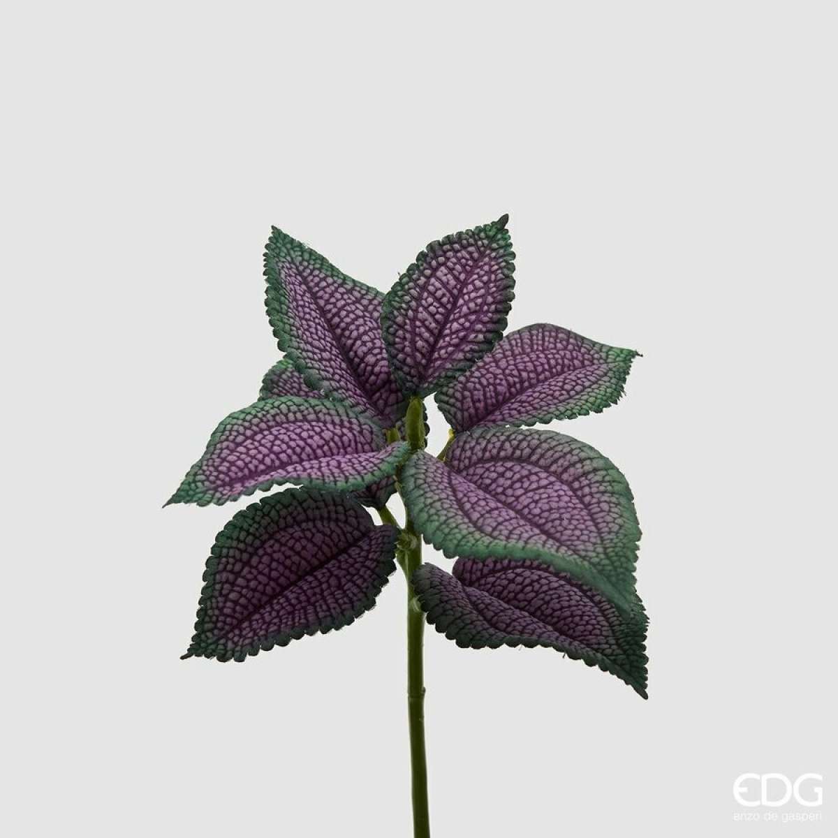 Immagine variante Viola - Coleus Bell Pick  8 foglie h 24 cm (2 Colori) | EDG Enzo De Gasperi
