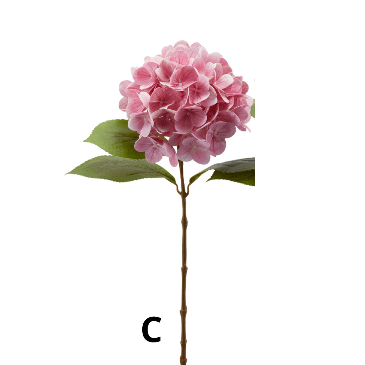 Immagine variante C - Ortensia Artificiale Nobile h 60 cm - 10 Colori | EDG Enzo De Gasperi