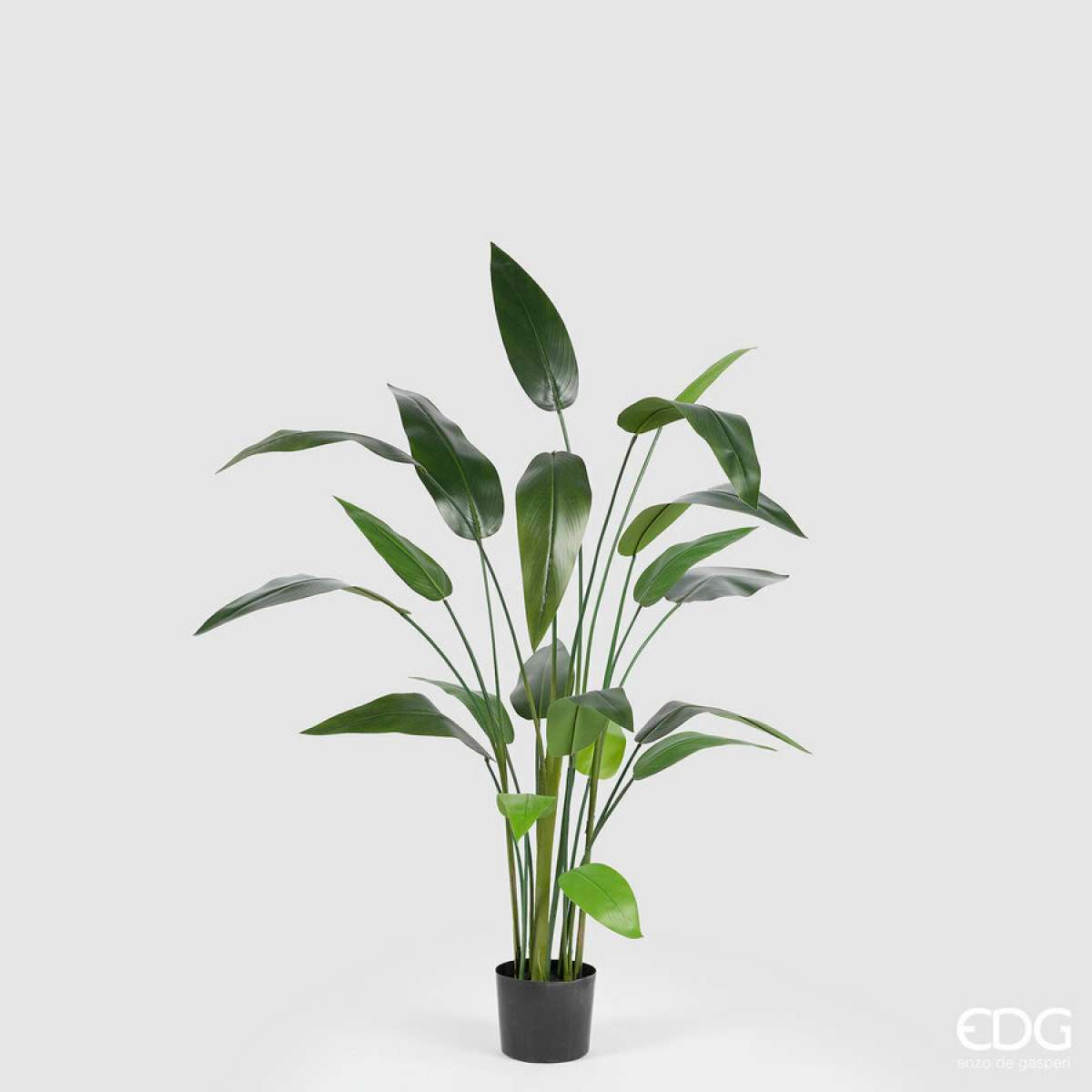 Immagine variante S - Strelitzia Artificiale con Vaso - 2 Misure | EDG Enzo De Gasperi