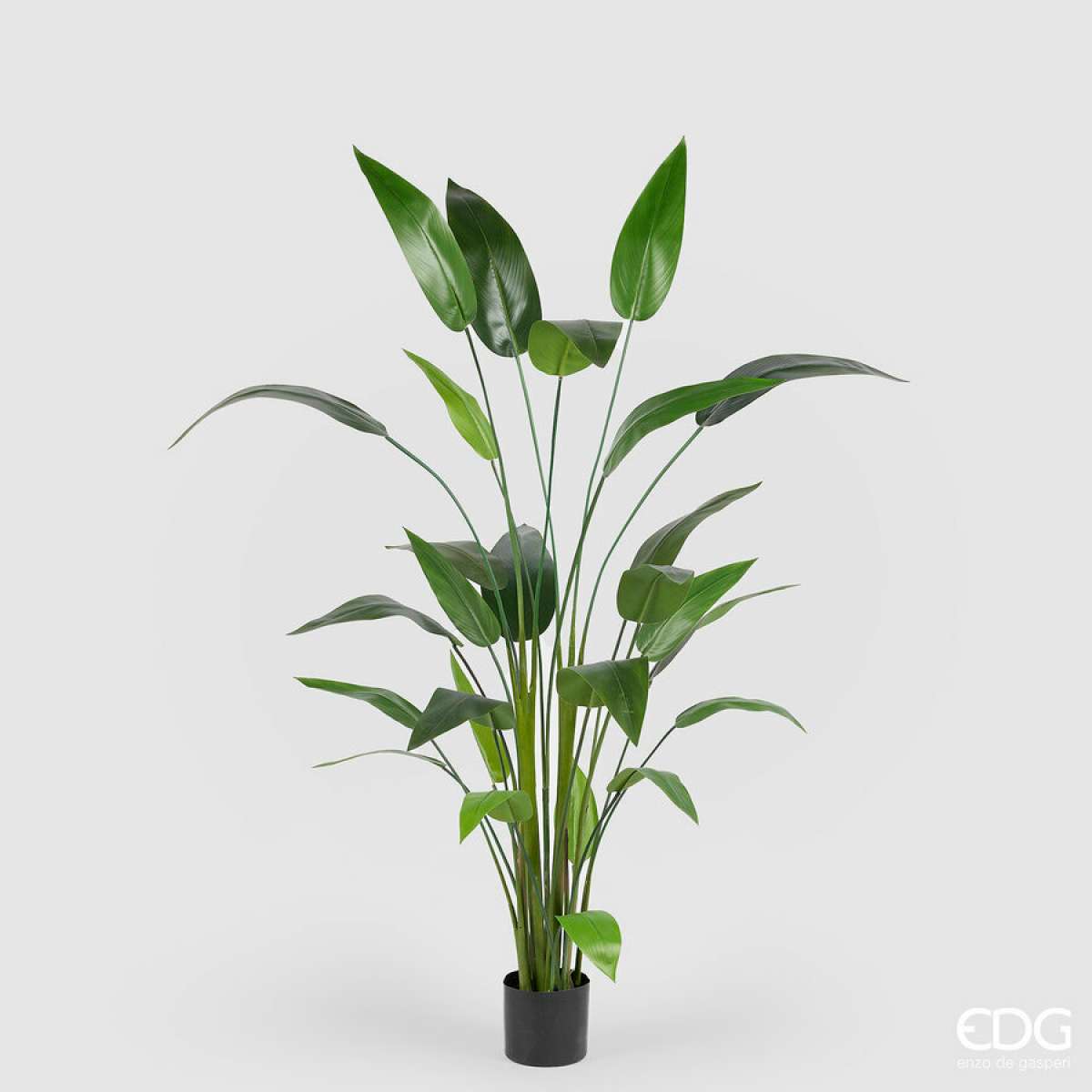 Immagine variante M - Strelitzia Artificiale con Vaso - 2 Misure | EDG Enzo De Gasperi