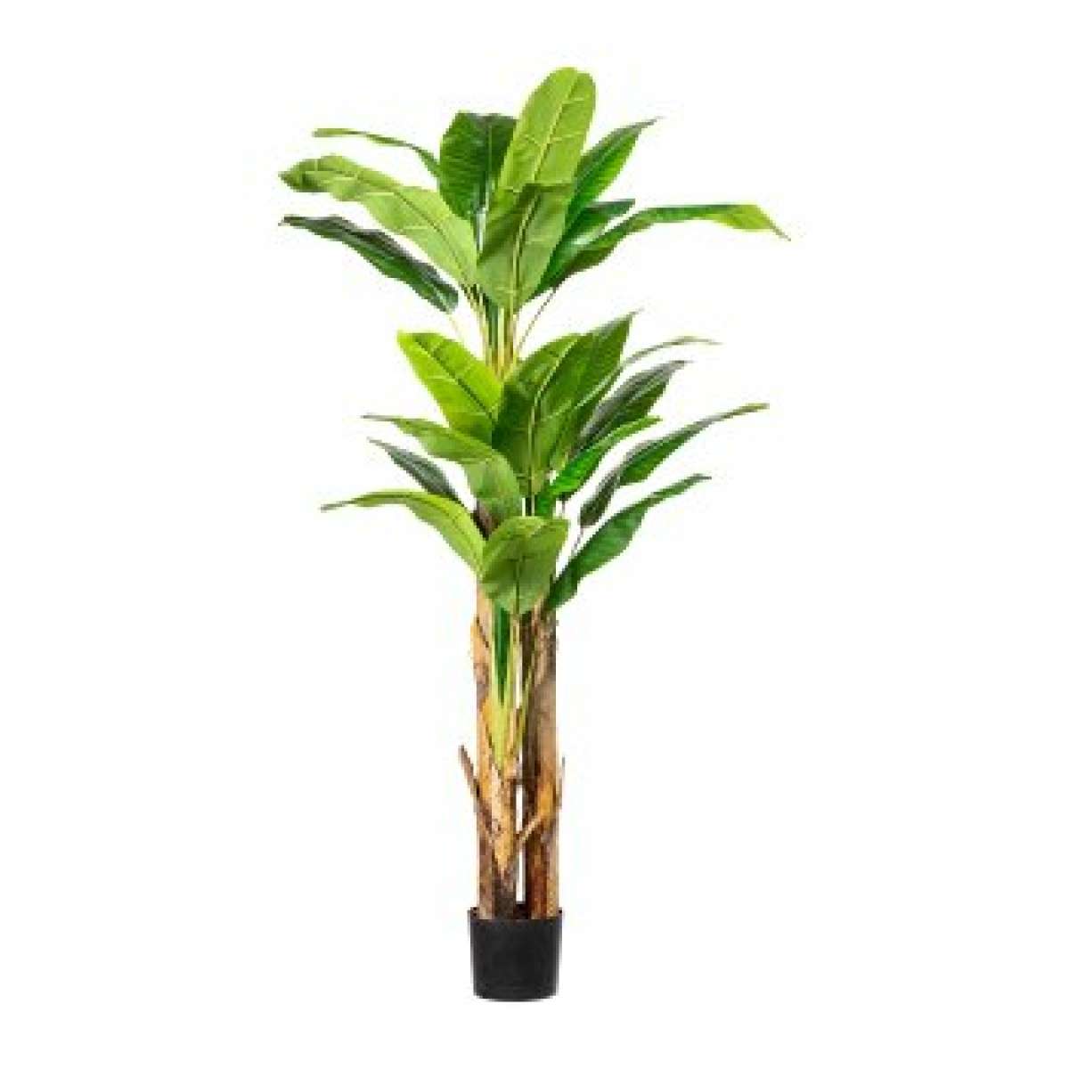 Immagine variante M - Banano Artificiale con Vaso di Plastica con terriccio artificiale - 2 Misure | Gasper since 1965