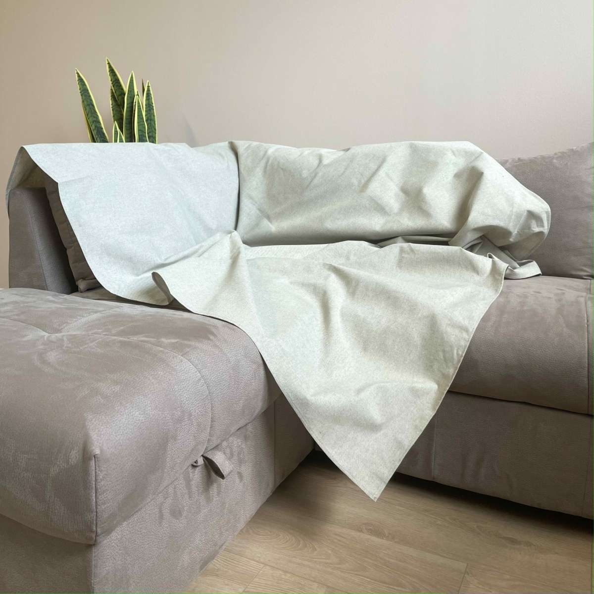 Immagine variante Singolo - Copridivano - Copritutto Tinta Unita Easy Grigio in cotone (2 misure) | Pietro Zanetti Home