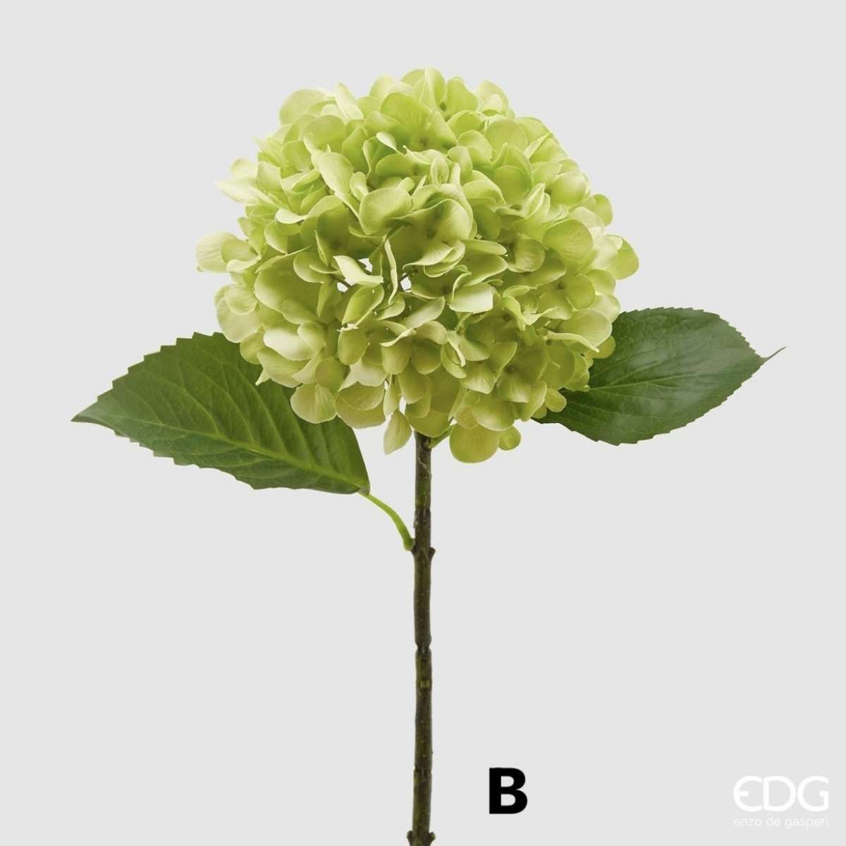 Immagine variante B - Ortensia Artificiale OLIS h 48 cm (6 colori) | EDG Enzo De Gasperi