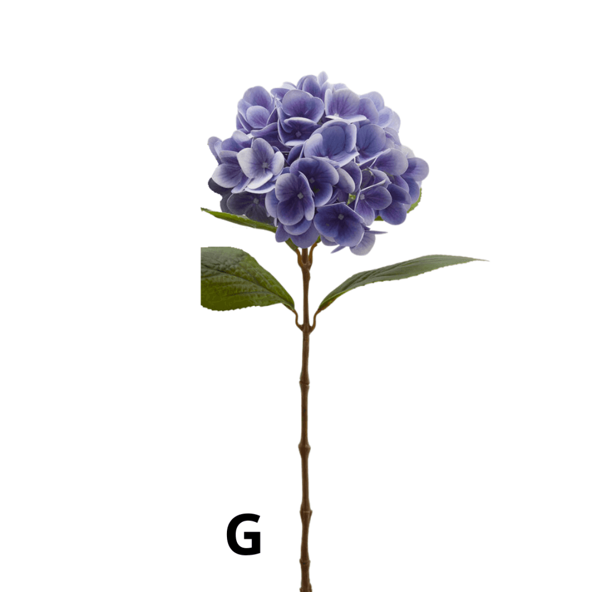 Immagine variante G - Ortensia Artificiale Nobile h 60 cm - 10 Colori | EDG Enzo De Gasperi