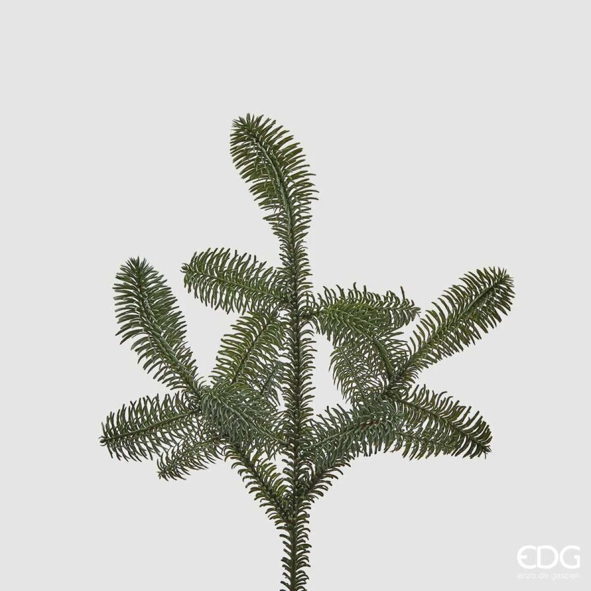 Immagine variante S - Ramo Decorativo Pino Nobilis West - 2 Misure | EDG Enzo De Gasperi