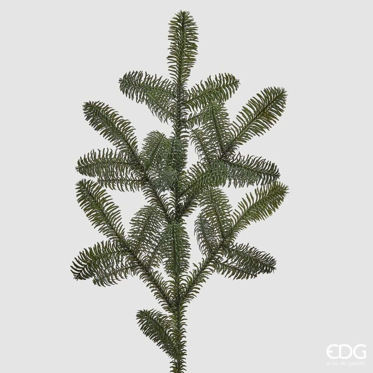 Immagine variante M - Ramo Decorativo Pino Nobilis West - 2 Misure | EDG Enzo De Gasperi